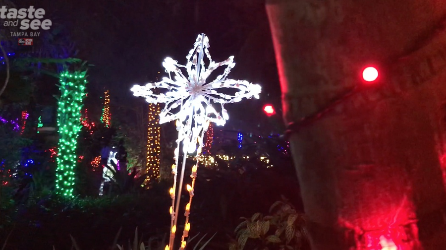 PHOTOS Christmas lights at the Florida Botanical Gardens in Largo